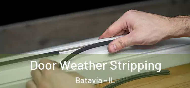Door Weather Stripping Batavia - IL