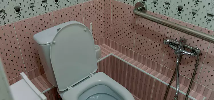 Meeting Diverse Needs With Accessible Restroom Solutions in Batavia, IL